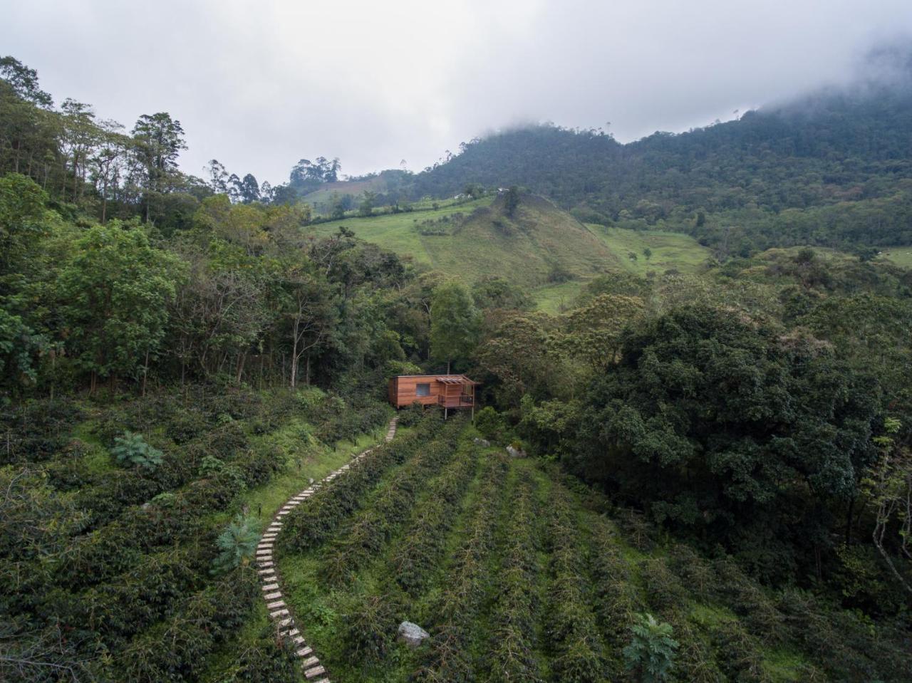 Coffee & Adventure Hotel By La Palma Y El Tucan Zipacon Eksteriør billede